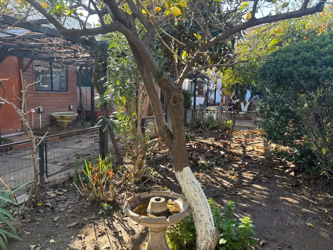 Venta de amplio terreno con 2 casas - Imagen 20