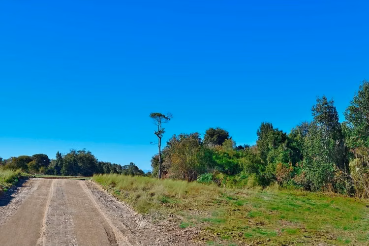 Vende parcelas en Proyecto Praderas del Sur, Los Muermos, 5 mil mt2 con rol.