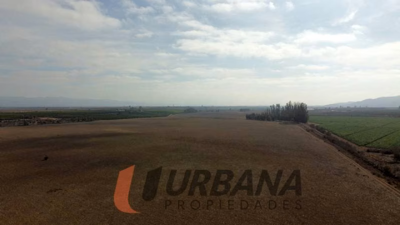 Agrícola TERRENO AGRÍCOLA DE 37,6 HA - 46 ACCIONES DE AGUA - TAMAYA