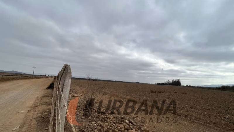 Agrícola TERRENO AGRÍCOLA DE 37,6 HA - 46 ACCIONES DE AGUA - TAMAYA