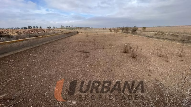 Agrícola TERRENO AGRÍCOLA DE 37,6 HA - 46 ACCIONES DE AGUA - TAMAYA