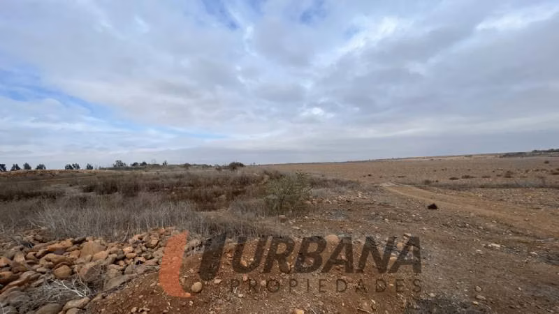 Agrícola TERRENO AGRÍCOLA DE 37,6 HA - 46 ACCIONES DE AGUA - TAMAYA