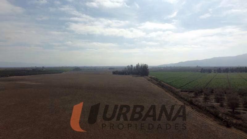 Agrícola TERRENO AGRÍCOLA DE 37,6 HA - 46 ACCIONES DE AGUA - TAMAYA