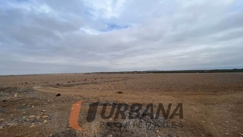 Agrícola TERRENO AGRÍCOLA DE 37,6 HA - 46 ACCIONES DE AGUA - TAMAYA