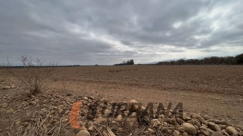 Agrícola TERRENO AGRÍCOLA DE 37,6 HA - 46 ACCIONES DE AGUA - TAMAYA