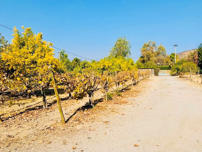 GRAN OPORTUNIDAD VENTA DE PARCELA  5.000M