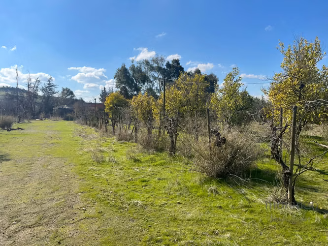 GRAN OPORTUNIDAD VENTA DE PARCELA  5.000M