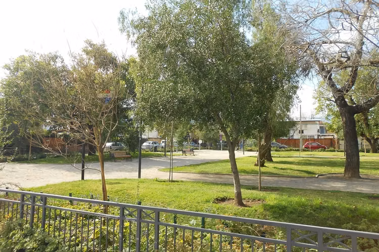 Casa en vitacura: piscina, terraza y quincho