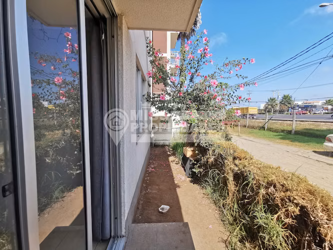 ARRIENDA DEPARTAMENTO CONDOMINIO LAS PALMAS LA SERENA