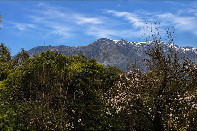 Casa exclusiva en condominio, la reina alta
