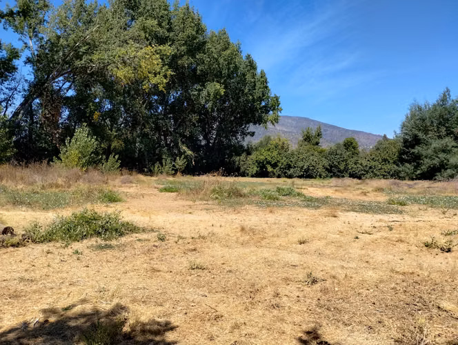 TERRENO URBANO 9500 MT2, LAS ACACIAS, HOSPITAL, UF 1,43/M2