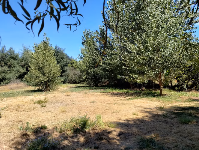 TERRENO URBANO 9500 MT2, LAS ACACIAS, HOSPITAL, UF 1,43/M2