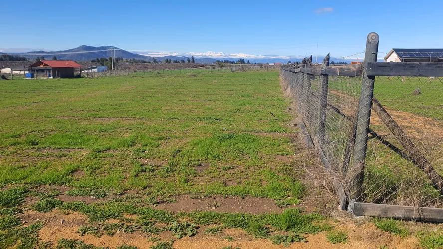 Parcela 5.000 m2 Plana El Llano Demasías Recinto Privado Marchigüe