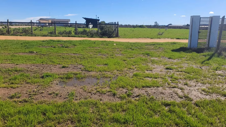 Parcela 5.000 m2 Plana El Llano Demasías Recinto Privado Marchigüe