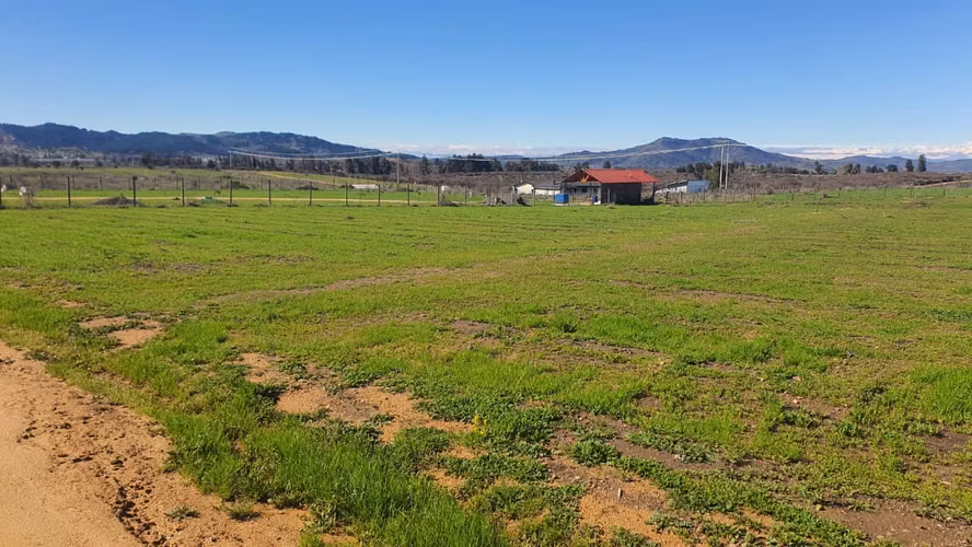 Parcela 5.000 m2 Plana El Llano Demasías Recinto Privado Marchigüe