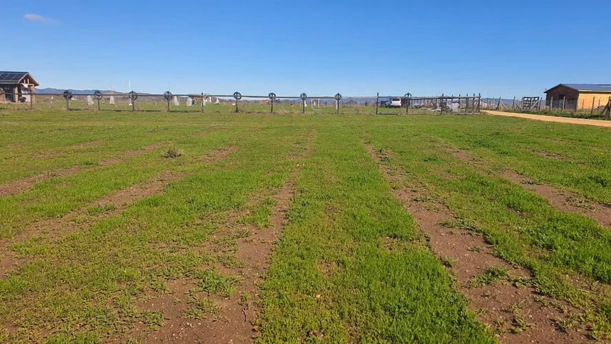 Parcela 5.000 m2 Plana El Llano Demasías Recinto Privado Marchigüe