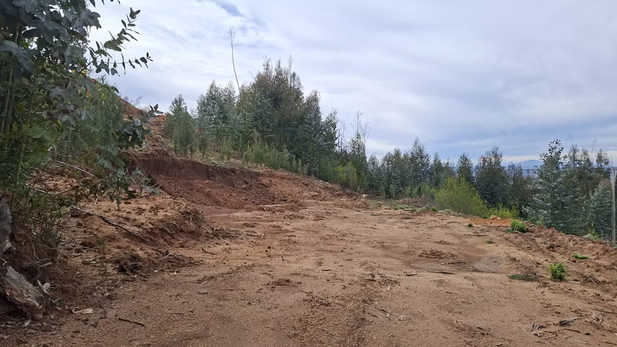 0,56 hectárea con inscripción y rol propio a 26 min de Concepción 50 millones. Con casa 108 m2