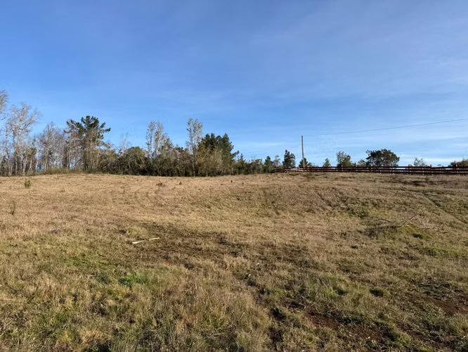 VENTA DE PARCELAS EN CHANCOYÁN ALTO – A SOLO 25 MINUTOS DE VALDIVIA - Imagen 11