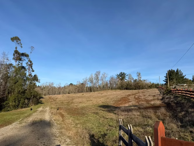 VENTA DE PARCELAS EN CHANCOYÁN ALTO – A SOLO 25 MINUTOS DE VALDIVIA - Imagen 10