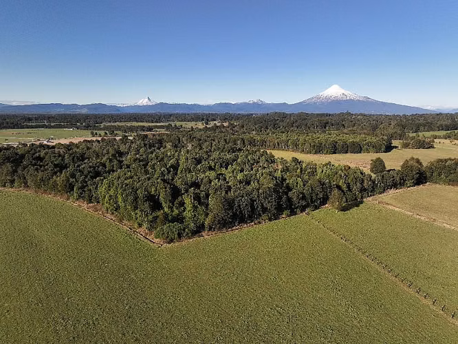 VISTA OCTAY, PROYECTO ÉXITO EN VENTAS - REGION DE LOS LAGOS