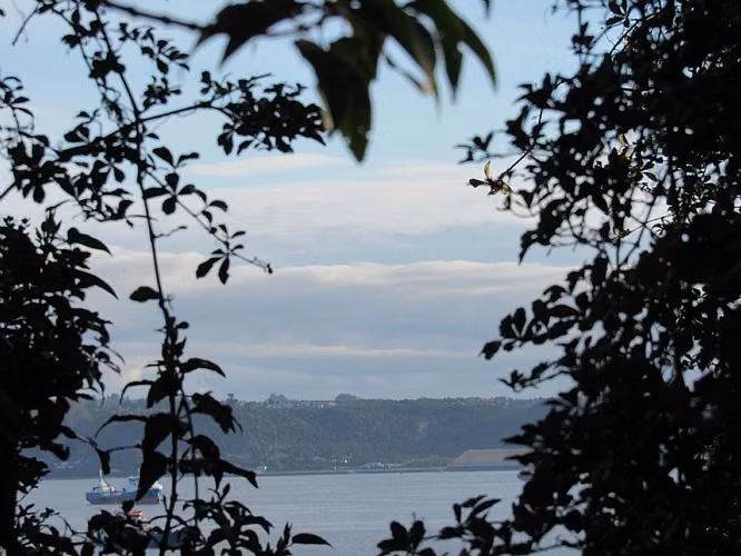 TERRENO COMERCIAL CHINQUIHUE -  PUERTO MONTT - RECIBO OFERTA