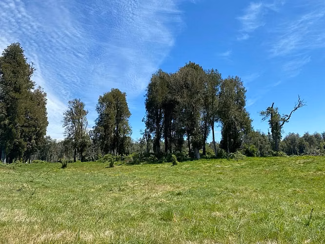 VIVE RUPANCO, PUYEHUE, REGIÓN DE LOS LAGOS