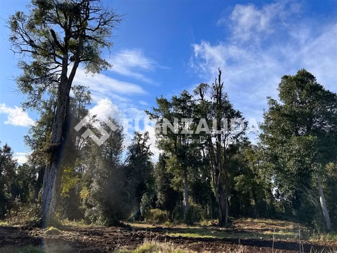 Parcela en venta en Frutillar,