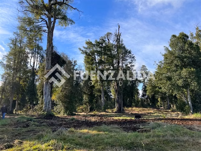 Parcela en venta en Frutillar,