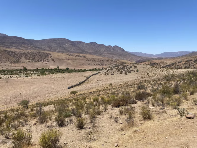 Terreno Ovalle. - Imagen 4
