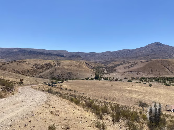 Terreno Ovalle. - Imagen 2