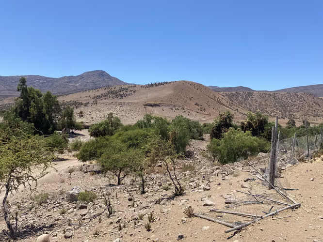 Terreno Ovalle. - Imagen 6