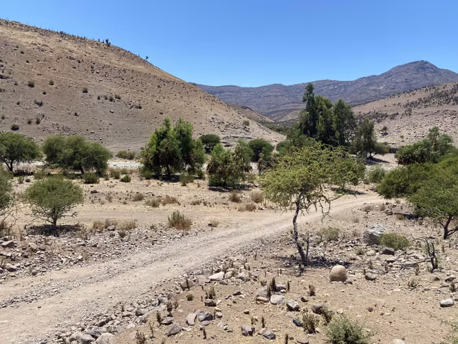 Terreno Ovalle. - Imagen 5