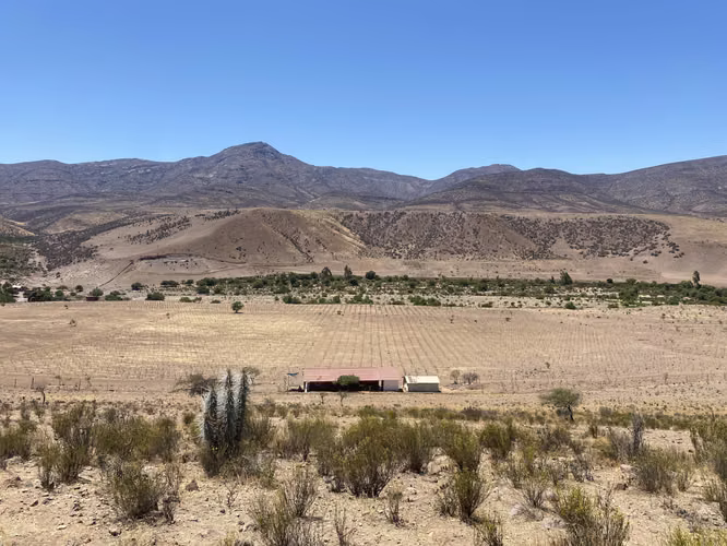 Terreno Ovalle. - Imagen 3