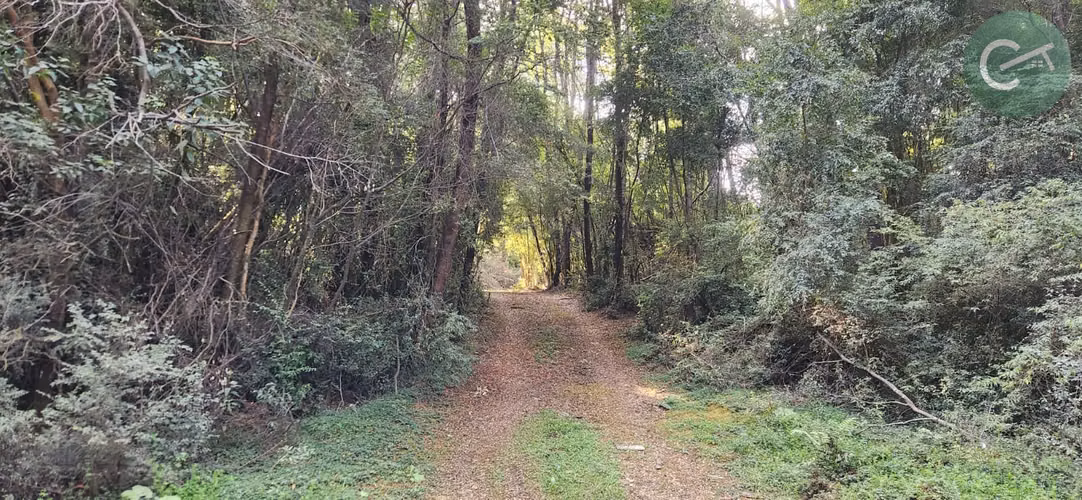 PARCELAS EN VENTA EN ISLA LEMUY, CHILOÉ | DOCUMENTACIÓN AL DÍA | LISTAS PARA COMPRAR