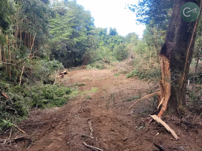 PARCELAS EN VENTA EN ISLA LEMUY, CHILOÉ | DOCUMENTACIÓN AL DÍA | LISTAS PARA COMPRAR