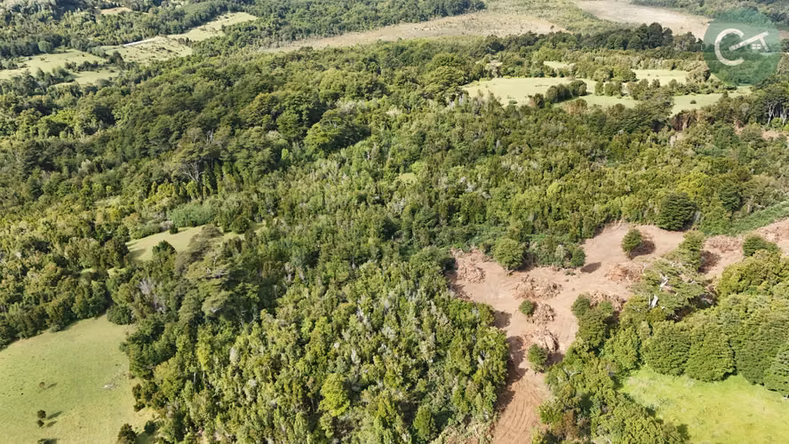 PARCELAS EN VENTA EN ISLA LEMUY, CHILOÉ | DOCUMENTACIÓN AL DÍA | LISTAS PARA COMPRAR
