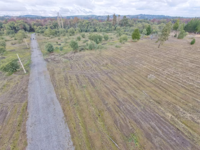 Vendo Parcelas Con Acceso A Río Claro, Yumbel - Imagen 8
