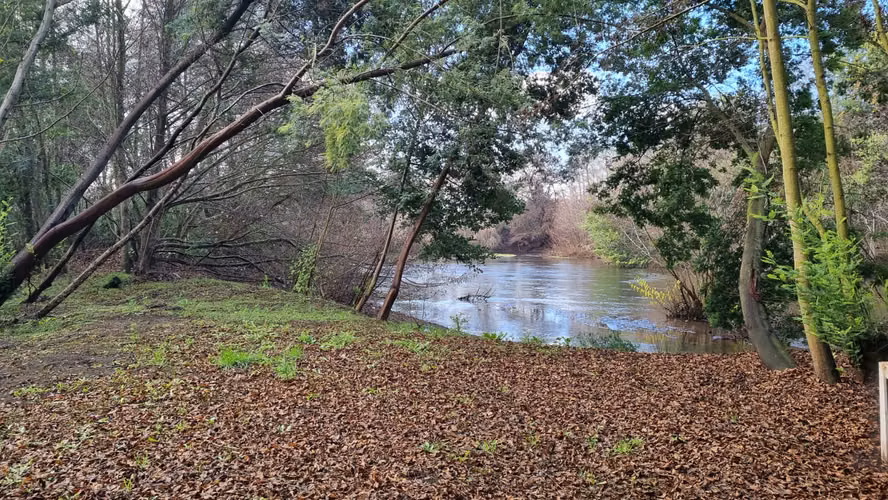 Vendo Parcelas Con Acceso A Río Claro, Yumbel - Imagen 4