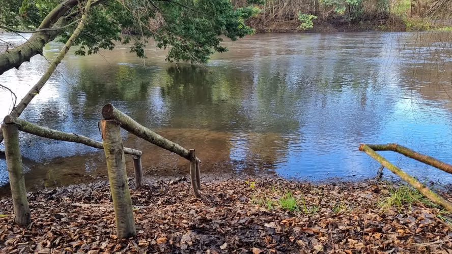 Vendo Parcelas Con Acceso A Río Claro, Yumbel - Imagen 2