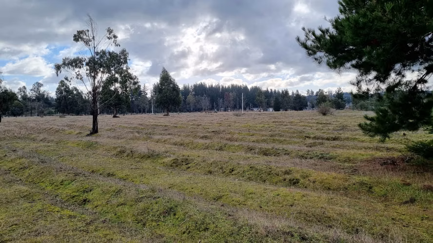 Vendo Parcelas Con Acceso A Río Claro, Yumbel - Imagen 6
