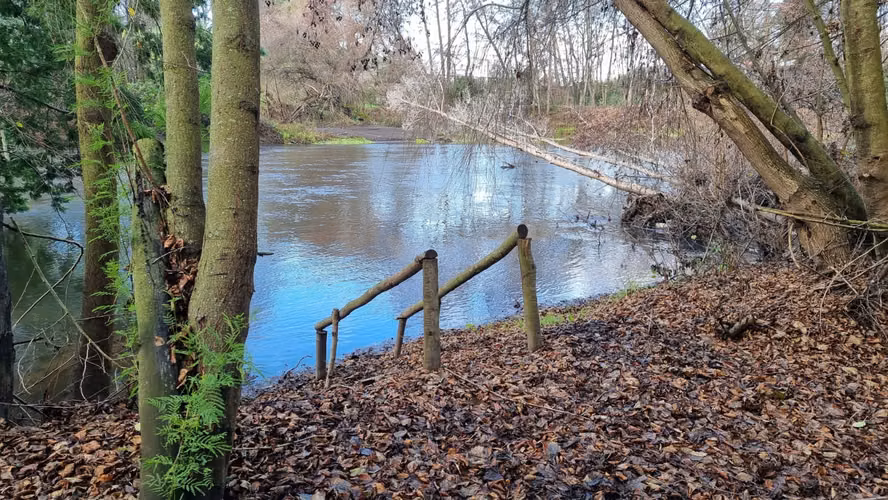 Vendo Parcelas Con Acceso A Río Claro, Yumbel - Imagen 3