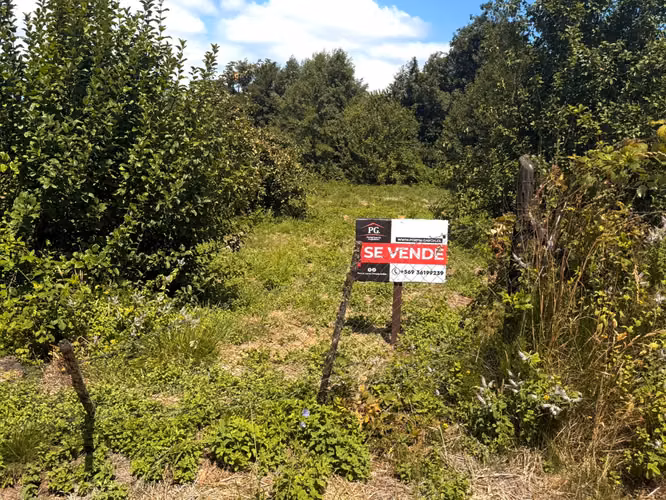 PARCELA EN CONDOMINIO CON MARINA PRIVADA ARIQUE VALDIVIA - Imagen 5