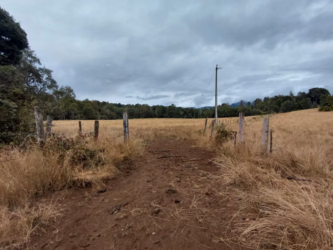 Espectacular Campo De 200 Hectareas En Loncoche
