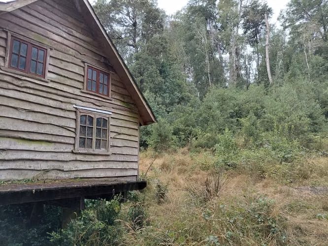 Espectacular Campo De 200 Hectareas En Loncoche