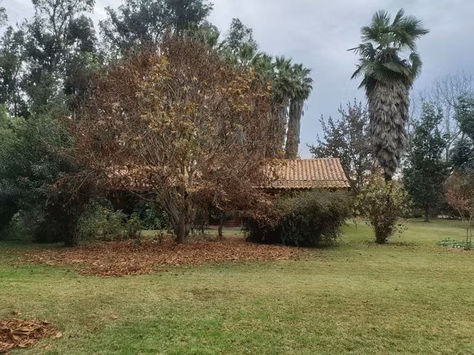 ARRIENDO PARCELA CON CASA DE 4D/4B CERCANA AL COLEGIO CARAMPANGUE