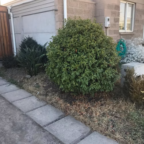 Arriendo casa 3d3b2e - Control Accesos 24 7 - Condominio muy Seguro