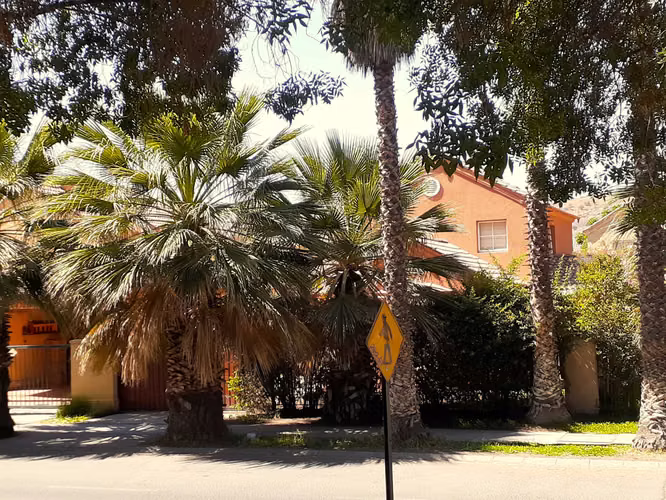 Casa Venta Valle Lo Campino, 220m2 Terreno (178631)