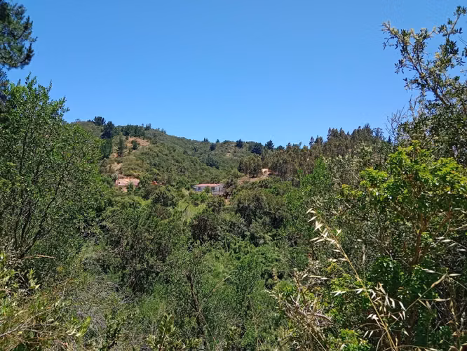 VENDO PARCELA CONSTRUIDA, 2 HA, EN EL VALLE MELOSILLA, CASABLANCA