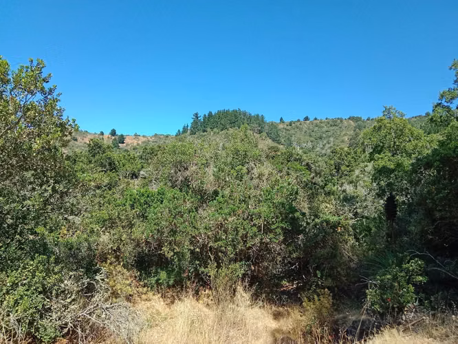 VENDO PARCELA CONSTRUIDA, 2 HA, EN EL VALLE MELOSILLA, CASABLANCA