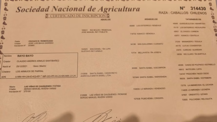 Vendó o permuto